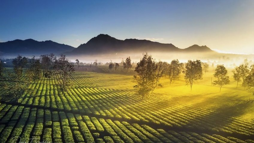 Tour Tây Nguyên 4 Ngày 3 Đêm | Hà Nội – Pleiku – Buôn Ma Thuột Mùa Hoa Cà Phê