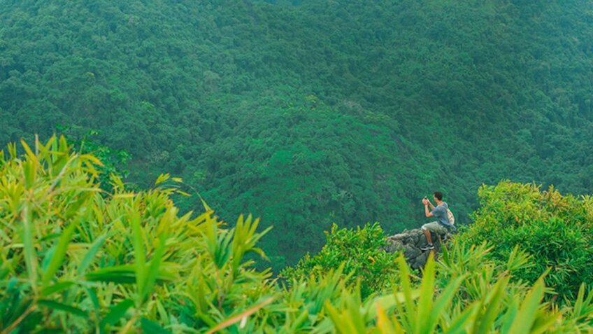 Tour Cát Bà 3N2Đ: Khám Phá Thiên Đường Bí Mật
