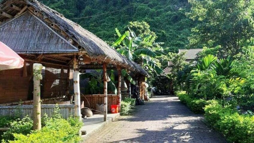 Tour Cát Bà 3N2Đ: Khám Phá Thiên Đường Bí Mật