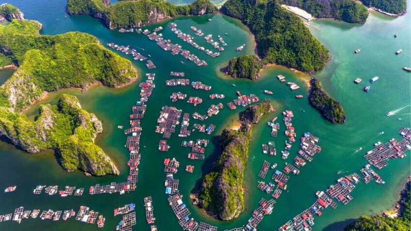 Tour Cát Bà 3N2Đ: Khám Phá Thiên Đường Bí Mật