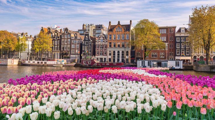 Tour Bắc Âu 11 Ngày 10 Đêm | Đan Mạch - Na Uy - Thụy Điển - Phần Lan | Vietpower Travel
