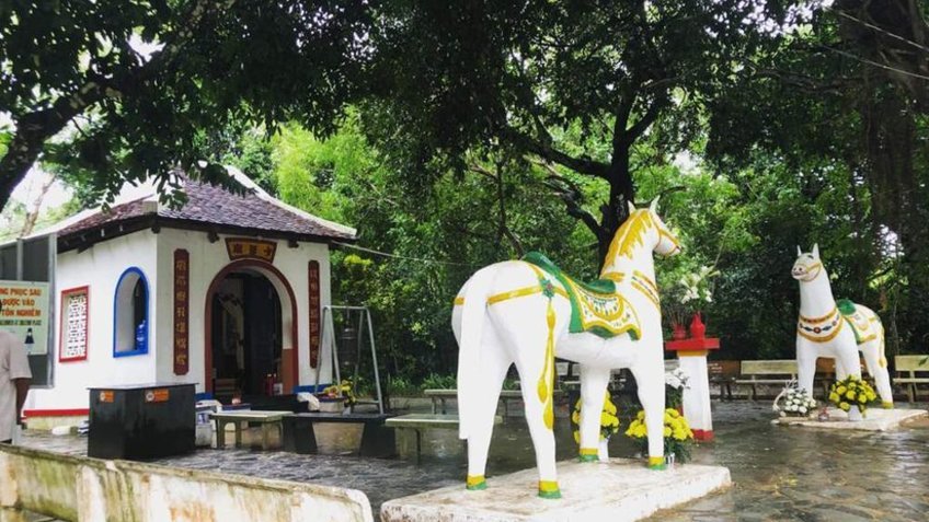Tour Côn Đảo 3 Ngày 2 Đêm | Khám Phá Di Tích Lịch Sử & Biển Đảo Hoang Sơ