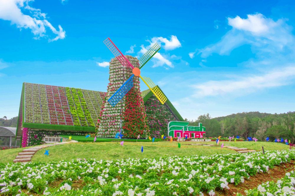 Tour Hà Nội – Đà Lạt – Nha Trang 5 Ngày 4 Đêm | Bay Thẳng | Khám Phá Cao Nguyên & Biển Xanh