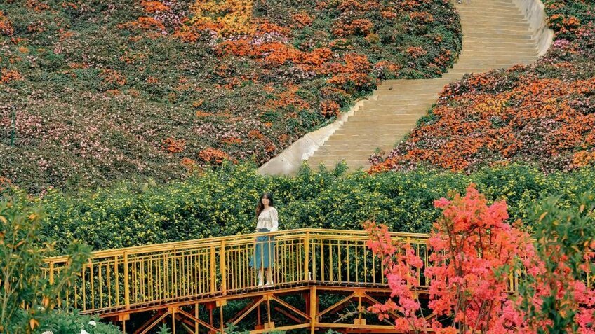 Tour Đà Lạt 3N2Đ: Khám phá thành phố ngàn hoa (Đón tiễn sân bay)
