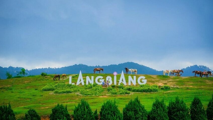 Tour Đà Lạt 3N2Đ: Khám phá thành phố ngàn hoa (Đón tiễn sân bay)