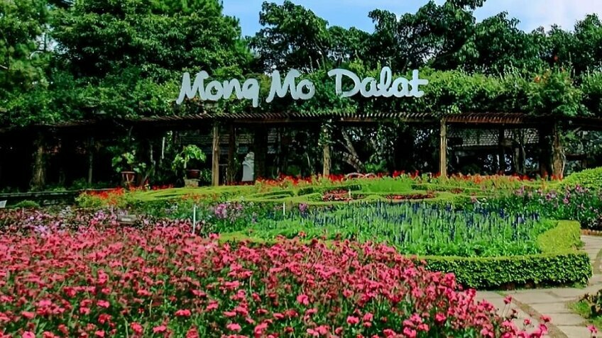 Tour Đà Lạt 3N2Đ: Khám phá thành phố ngàn hoa (Đón tiễn sân bay)