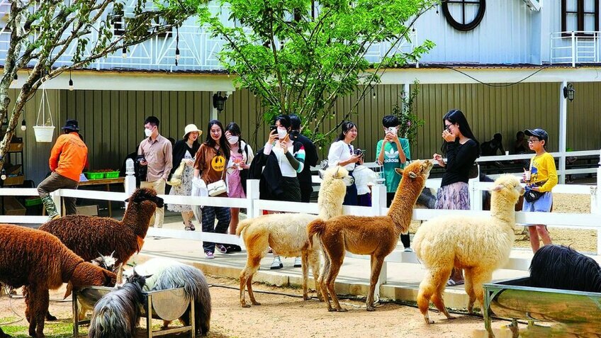 Tour Đà Lạt 3N3Đ: HCM - Tea Resort Thác Prenn - Nông Trại Cún - Golf Valley