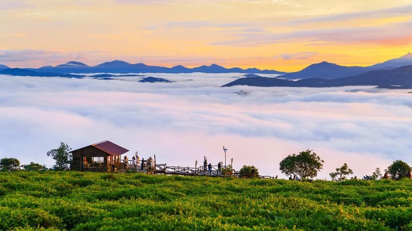 Tour Đà Lạt 3 Ngày 3 Đêm Tết 2026 | Săn Mây Cầu Đất - Puppy Farm - Thác Datanla