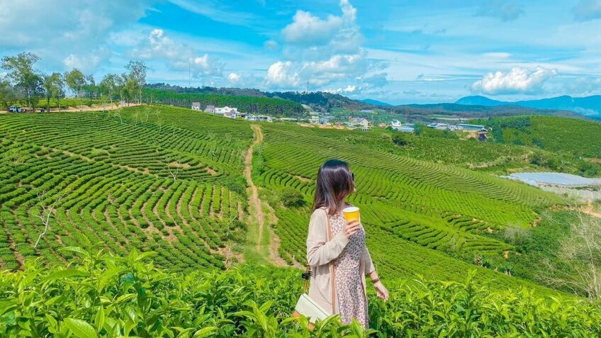 Tour Đà Lạt săn mây 3N3Đ: Đồi chè - KDL Langbiang giao lưu cồng chiêng - Dapa Hill