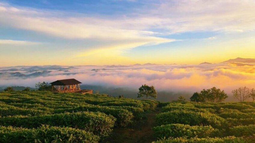 Tour Đà Lạt săn mây 3N3Đ: Đồi chè - KDL Langbiang giao lưu cồng chiêng - Dapa Hill