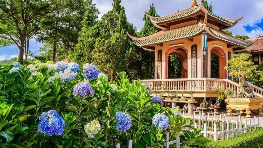 Tour Đà Lạt săn mây 3N3Đ: Đồi chè - KDL Langbiang giao lưu cồng chiêng - Dapa Hill