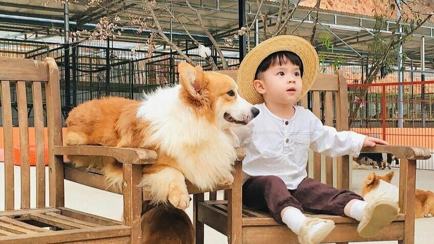 Tour Đà Lạt từ Hồ Chí Minh 3N2Đ: Thác Bobla- Bảo Lộc