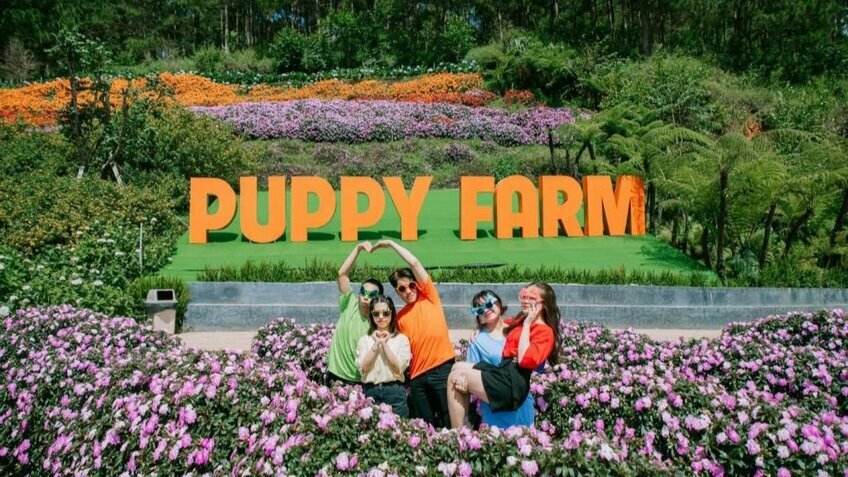 Tour Đà Lạt từ Hồ Chí Minh 3N2Đ: Thác Bobla- Bảo Lộc