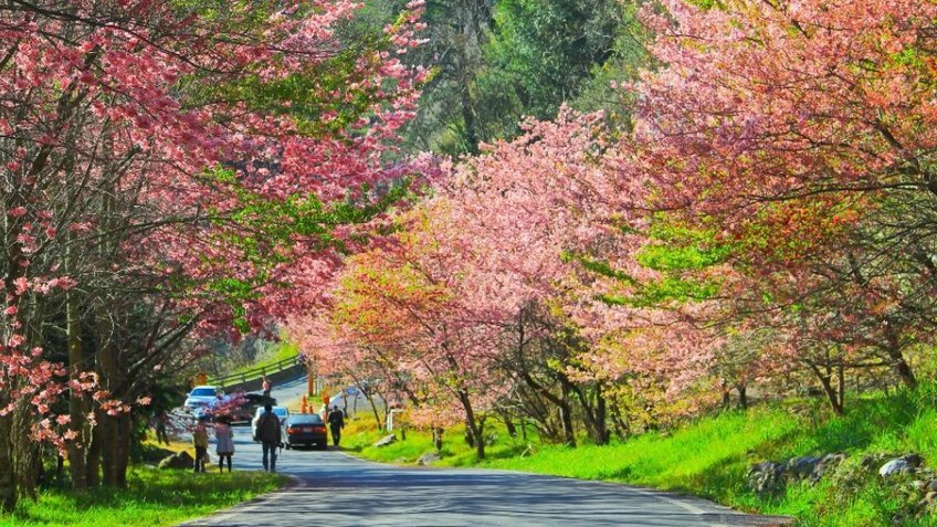 Tour Đài Loan Cao Cấp: Viên Ngọc Châu Á (Bay Eva Air 5*)