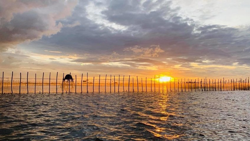 Tour Huế 4 Ngày 3 Đêm | Đại Nội Huế - Rú Chá - Đầm Chuồn - Lăng Tự Đức