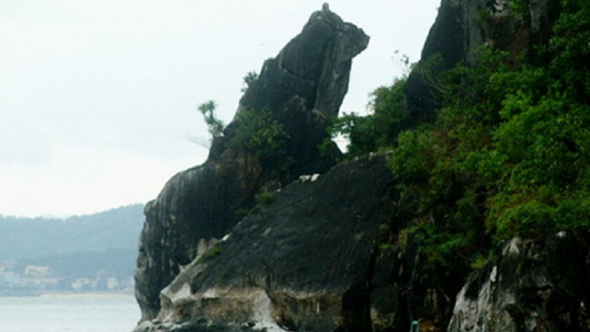 Tour Đoàn Riêng Hạ Long – Tuần Châu 3 Ngày 2 Đêm | Team Building & Gala Dinner Cho Doanh Nghiệp