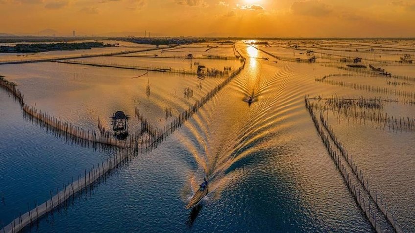 Tour Đoàn Riêng Một Chiều Trên Phá Tam Giang Huế | Khám Phá Rừng Ngập Mặn Rú Chá