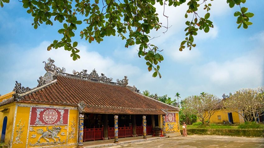 Tour Đoàn Riêng Một Chiều Trên Phá Tam Giang Huế | Khám Phá Rừng Ngập Mặn Rú Chá