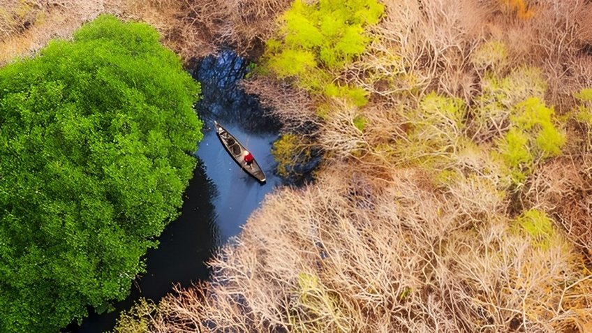 Tour Đoàn Riêng Một Chiều Trên Phá Tam Giang Huế | Khám Phá Rừng Ngập Mặn Rú Chá