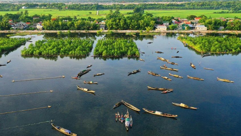 Tour Đoàn Riêng Một Chiều Trên Phá Tam Giang Huế | Khám Phá Rừng Ngập Mặn Rú Chá