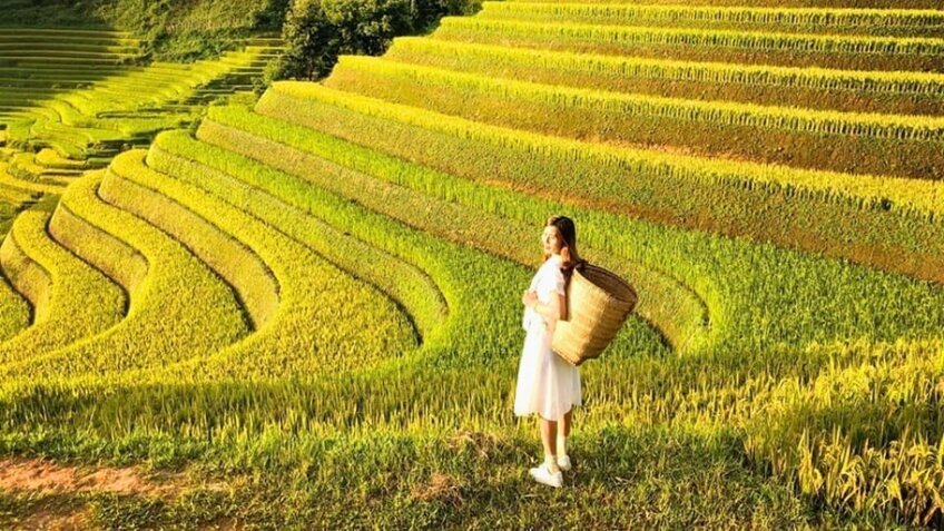 Tour Đông Tây Bắc 4N4Đ: Hoàng Su Phì - Chiêu Lầu Thi - Cốc Pài - Bắc Hà