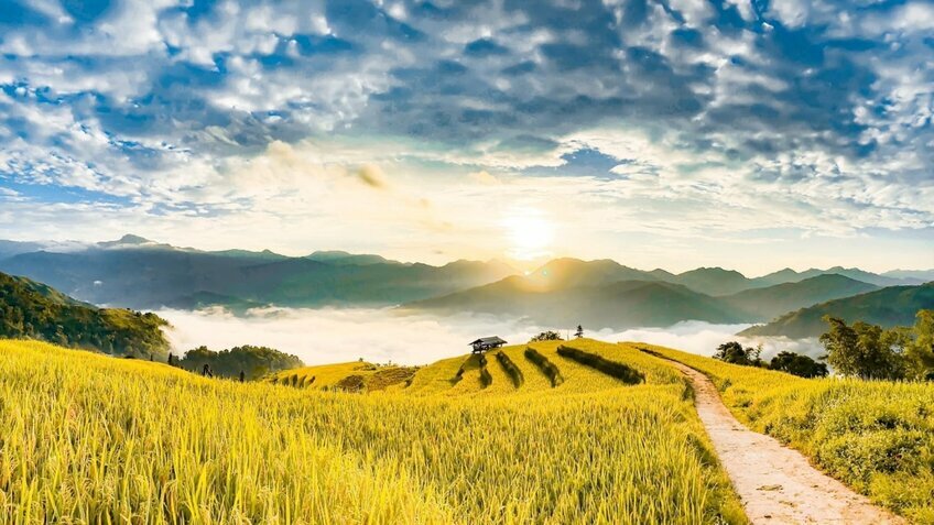 Tour Đông Tây Bắc 4N4Đ: Hoàng Su Phì - Chiêu Lầu Thi - Cốc Pài - Bắc Hà