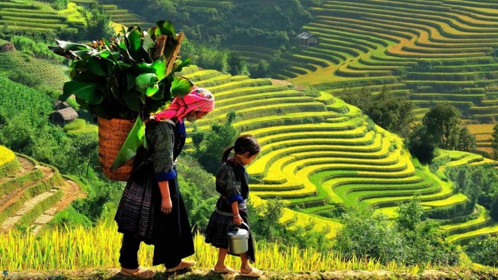 Hồ Thầu là địa bàn sinh sống của rất nhiều dân tộc thiểu số, nơi văn hóa được hòa trộn tạo nên những đặc trưng riêng biệt