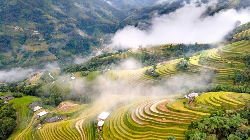 Tour Đông Tây Bắc 4N4Đ: Hoàng Su Phì - Chiêu Lầu Thi - Cốc Pài - Bắc Hà