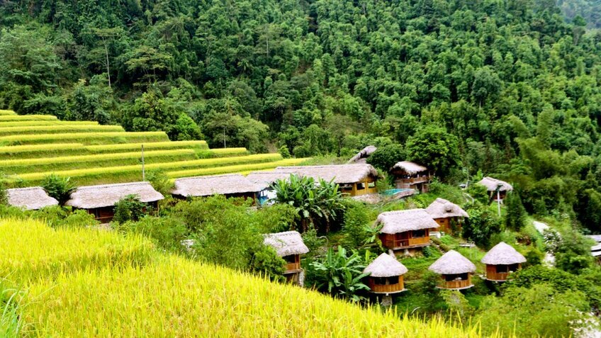 Tour Đông Tây Bắc 4N4Đ: Hoàng Su Phì - Chiêu Lầu Thi - Cốc Pài - Bắc Hà