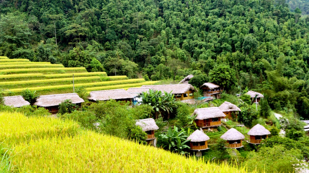 Khung cảnh mùa vàng xinh đẹp ở làng văn hóa bản Nậm Hồng