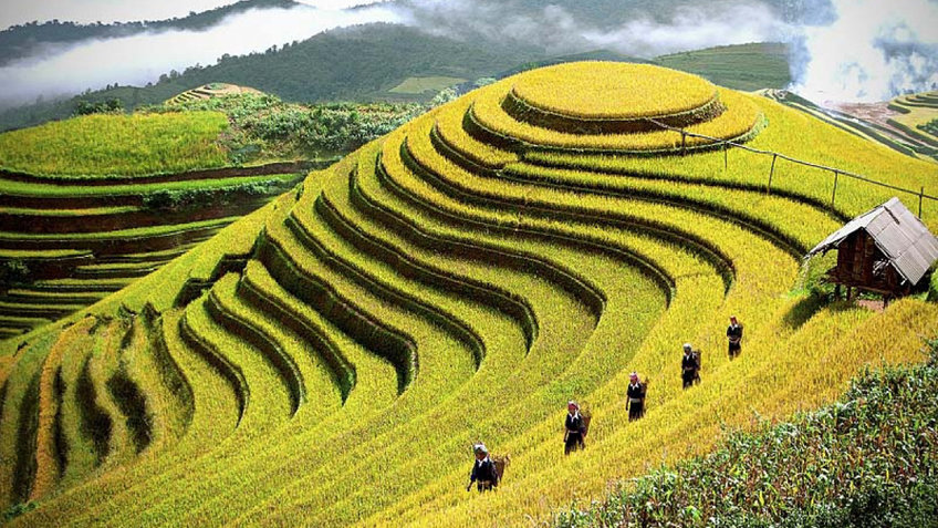 Tour Pù Luông Mai Châu 2 Ngày 1 Đêm | Khám Phá Pù Luông – Bản Lác – Đèo Thung Khe