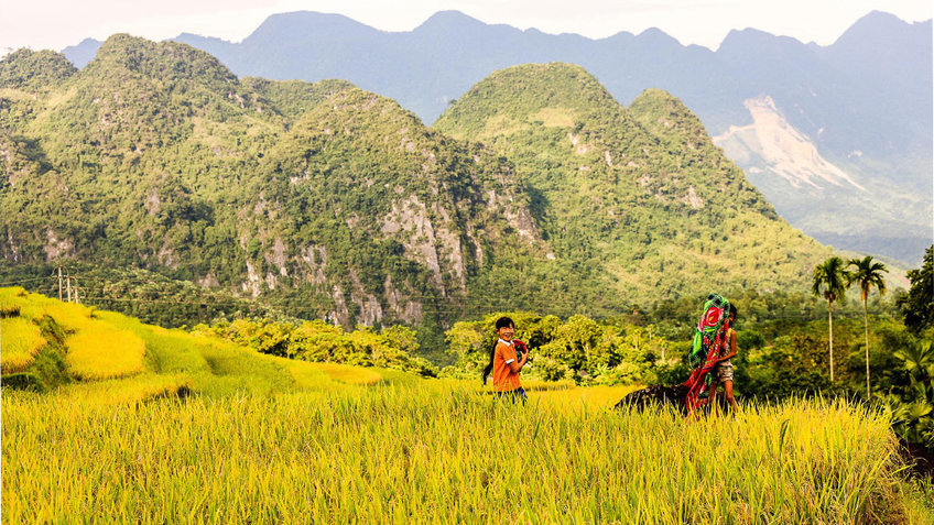 Tour Pù Luông Mai Châu 2 Ngày 1 Đêm | Khám Phá Pù Luông – Bản Lác – Đèo Thung Khe