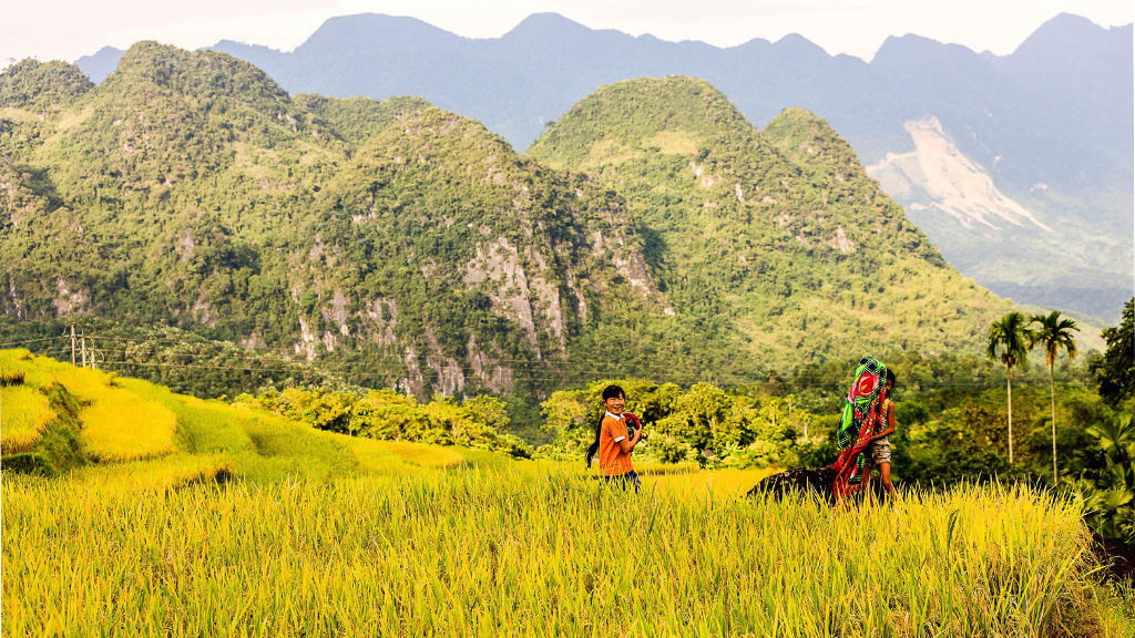 Ngắm nhìn thiên nhiên Pù Luông mùa lúa chín