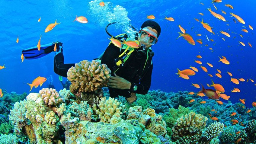 Tour Du lịch Quy Nhơn 3N2Đ: Huyền thoại miền đất võ