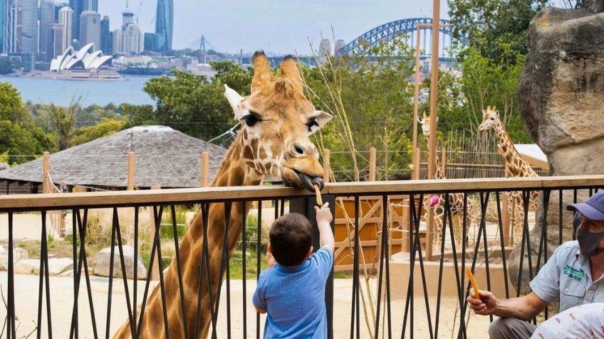Tour Du Lịch Úc Giá Rẻ: Sydney 5N4Đ Từ HCM| Vietjet Air