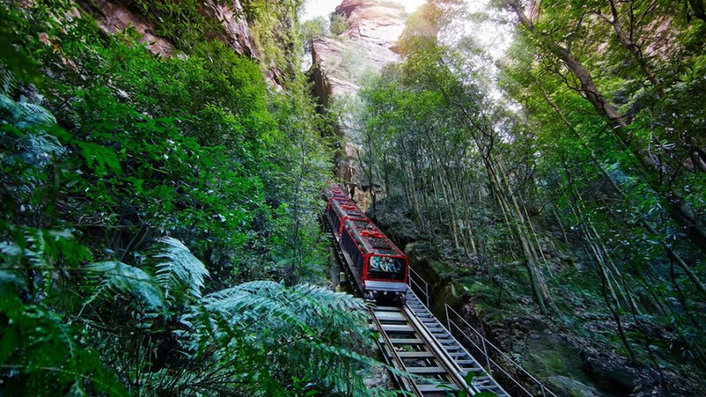Trải nghiệm Tàu kéo Scenic World xuyên rừng đầy thú vị