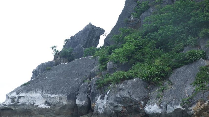 Tour du lịch Hạ Long 1 ngày: Sửng Sốt -Titop - Hang Luồn