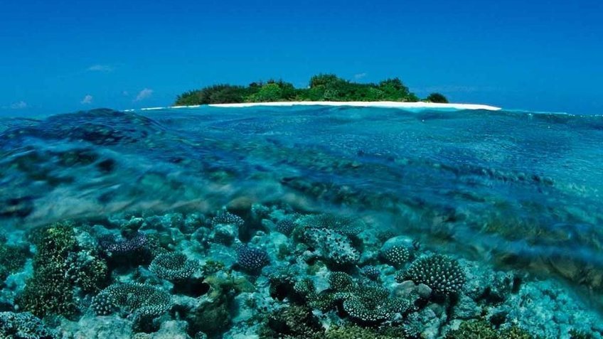Tour du lịch Maldives 5N4Đ: Tận hưởng thiên đường biển 5 sao