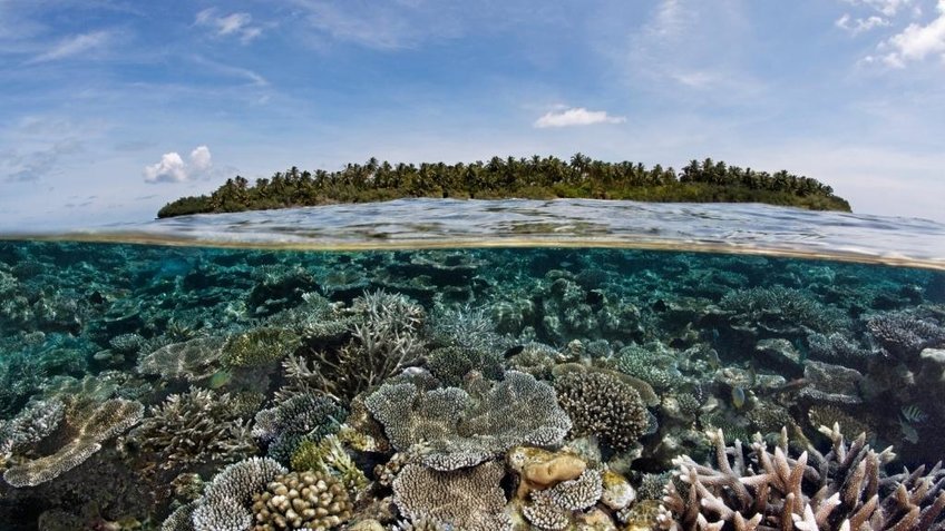 Tour du lịch Maldives 5N4Đ: Tận hưởng thiên đường biển 5 sao