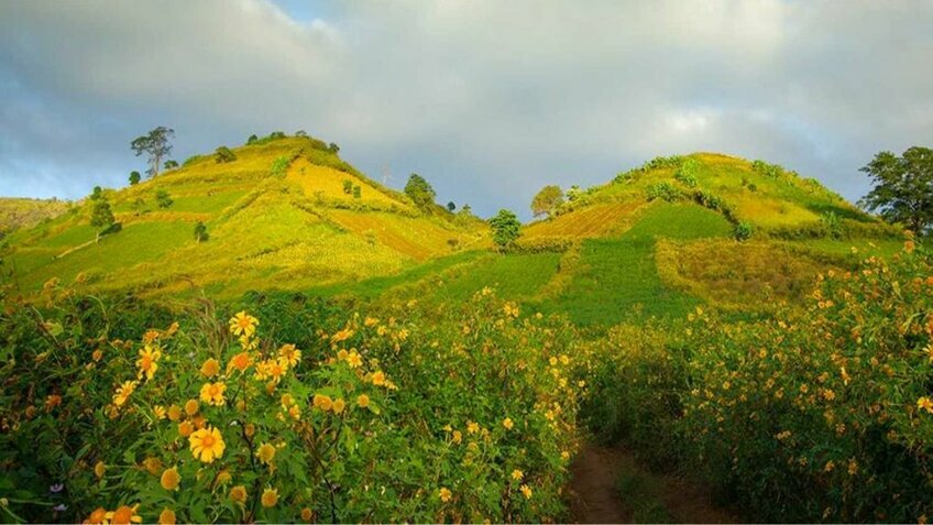 Tour Tây Nguyên 3 Ngày 2 Đêm | Buôn Ma Thuột - Gia Lai - Kon Tum - Măng Đen