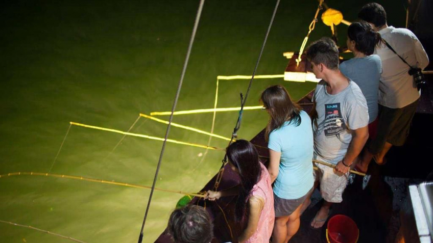 Tour Du Thuyền Hạ Long 5 Sao 2 Ngày 1 Đêm | Nghỉ Dưỡng Trên Vịnh Hạ Long