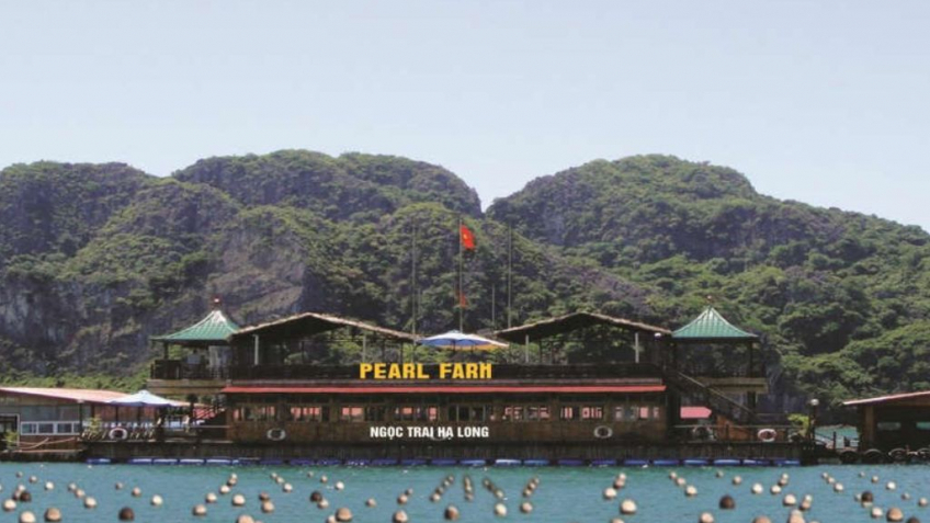 Tour Du Thuyền Hạ Long 5 Sao 2 Ngày 1 Đêm | Nghỉ Dưỡng Trên Vịnh Hạ Long