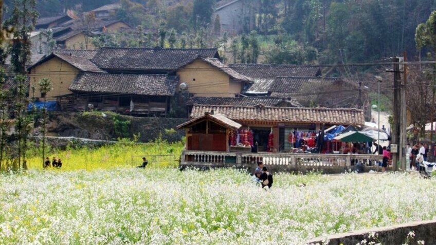 Tour Hà Giang 3N2Đ: Đồng Văn - Mã Pì Lèng - Cột Cờ Lũng Cú - Bản Lô Lô Chải