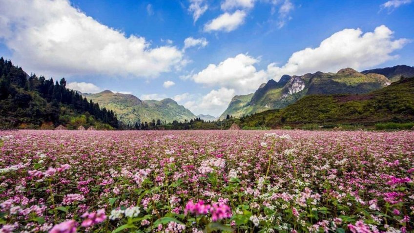 Tour Hà Giang 3N2Đ: Đồng Văn - Mã Pì Lèng - Cột Cờ Lũng Cú - Bản Lô Lô Chải