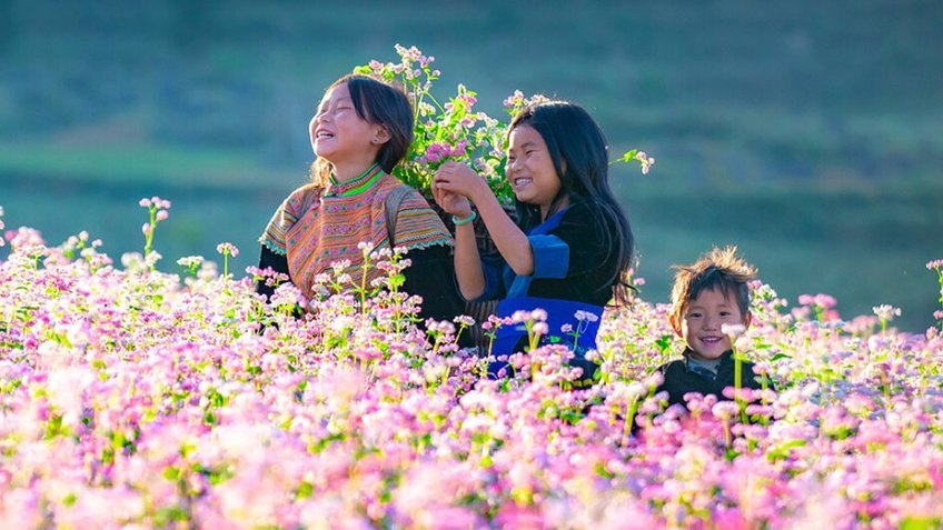 Tour Hà Giang 3N2Đ: Đồng Văn - Mã Pì Lèng - Cột Cờ Lũng Cú - Bản Lô Lô Chải