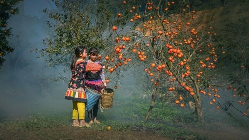 Tour Hồ Chí Minh Mộc Châu 3 Ngày 3 Đêm | Happy Land - Cầu Kính Bạch Long | Vietpower Travel