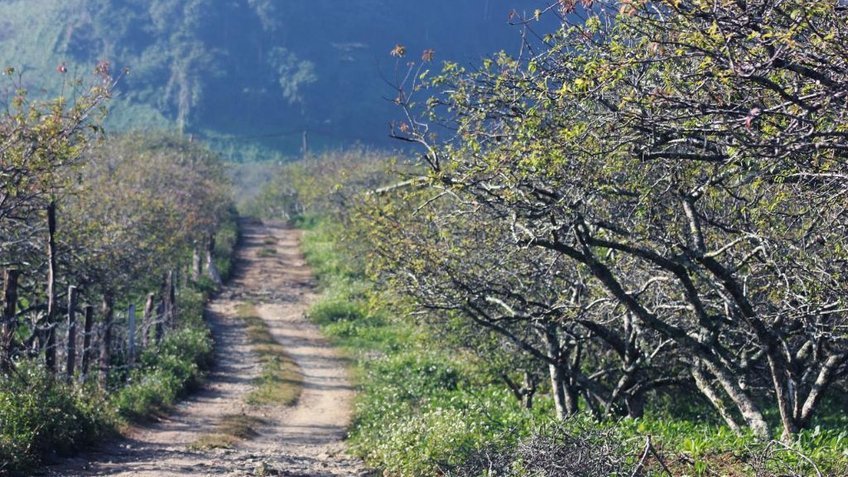 Tour Hồ Chí Minh Mộc Châu 3 Ngày 3 Đêm | Happy Land - Cầu Kính Bạch Long | Vietpower Travel
