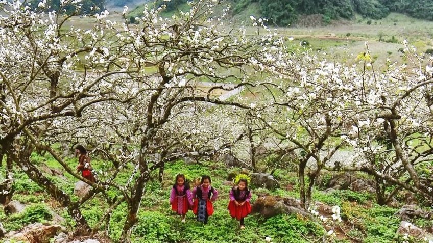 Tour Hồ Chí Minh Mộc Châu 3 Ngày 3 Đêm | Happy Land - Cầu Kính Bạch Long | Vietpower Travel