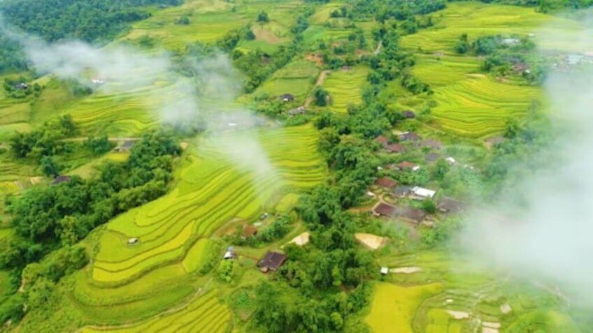 Tour khám phá Na Hang Tuyên Quang mùa hoa lê 2 ngày 1 đêm (Từ Hà Nội)