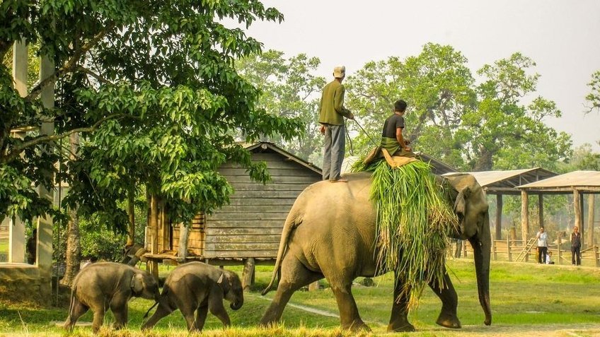 Tour Khám Phá Nepal - Himalaya Huyền Thoại 8N7Đ (Khởi hành từ HCM)